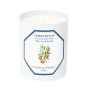 Carriere Freres Orange Blossom Candle 185g-Beauty Affairs