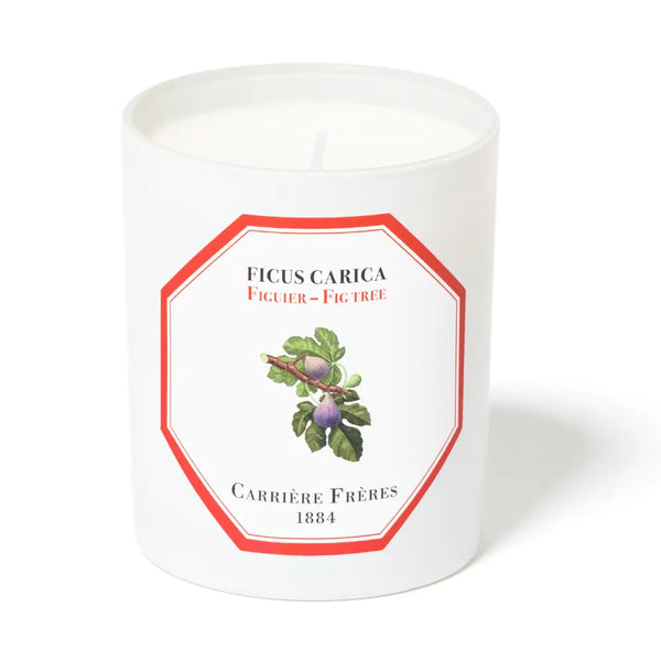 Carriere Freres Fig Tree Candle 185g Carriere Freres - Beauty Affairs 1