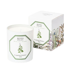 Carriere Freres Spearmint Candle 185g-Beauty Affairs1