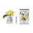 CoteNoirePerfumedNaturalTouchSingleFrenchRose-Silver-Beauty Affairs